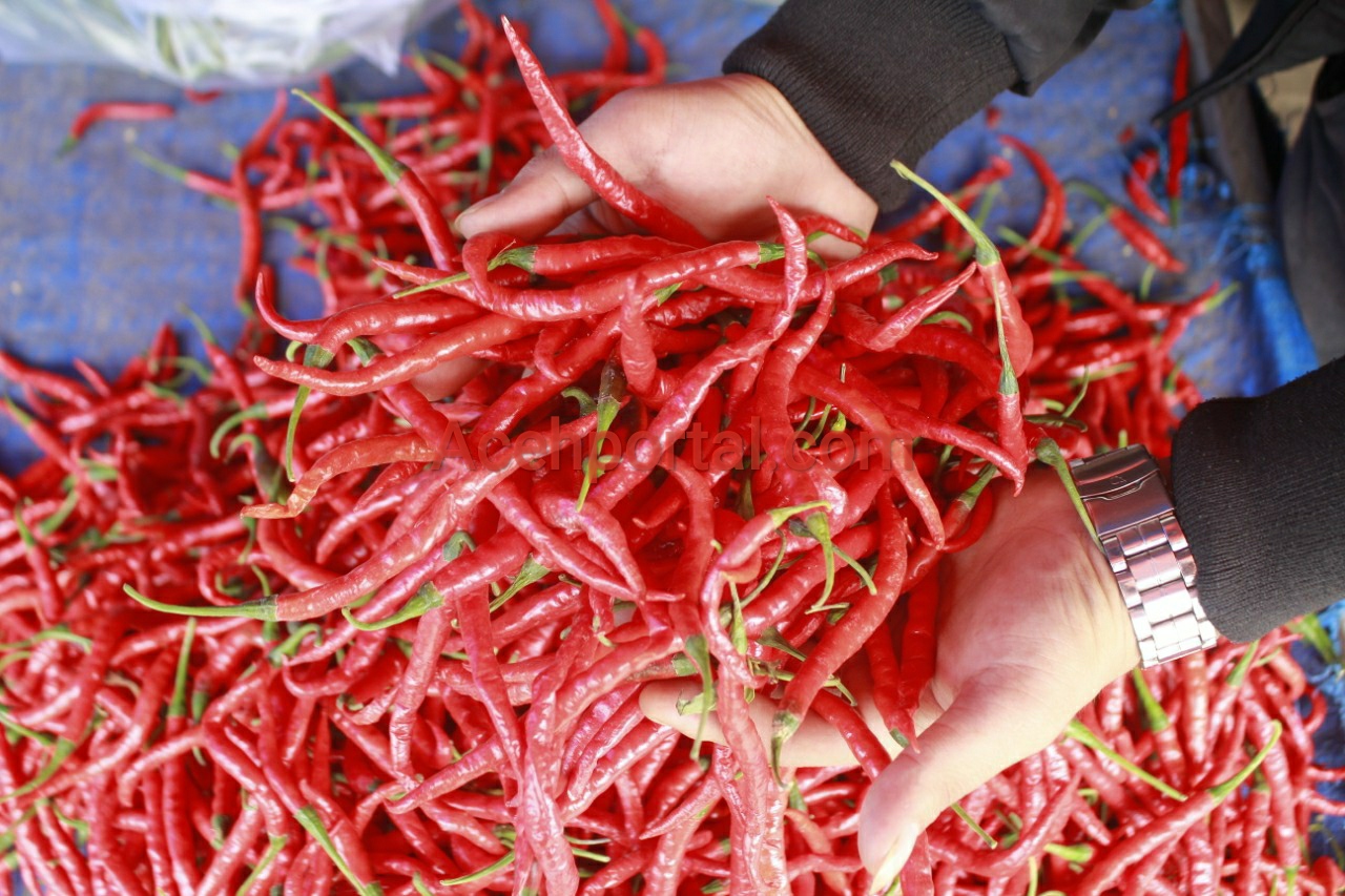 BPS: Kenaikan Harga Cabai Jadi Salah Satu Sebab Inflasi Oktober 2020